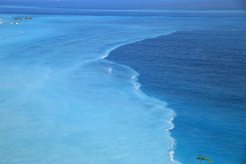 Зайка - Индийский океан - 74 фото