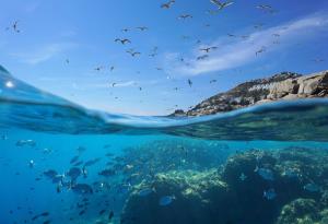 Средиземно море подобри рекорда за най-висока дневна температура на водата, откакто се правят подобни измервания