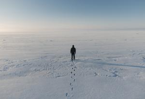 Арктика може да остане без лед през лятото още идното десетилетие