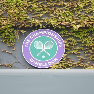 Wimbledon III – кортовете