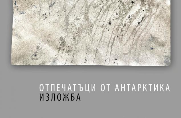 Звуци от Антарктика зазвучават в цялата страна в Деня на околната среда -  5 юни