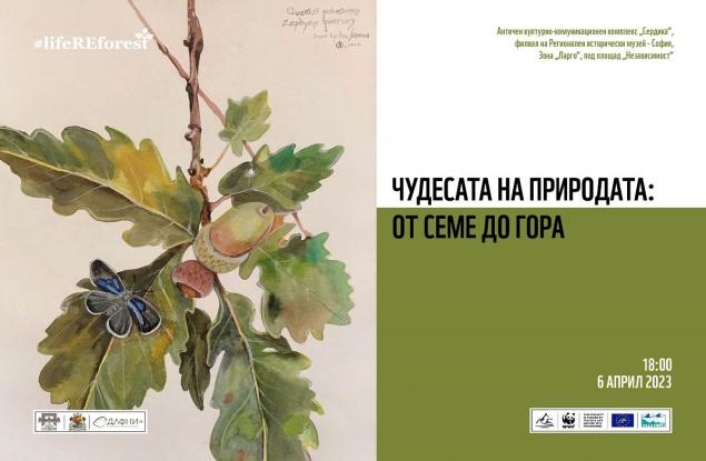 WWF ви кани на изложбата  „Чудесата на природата: от семе до гора“