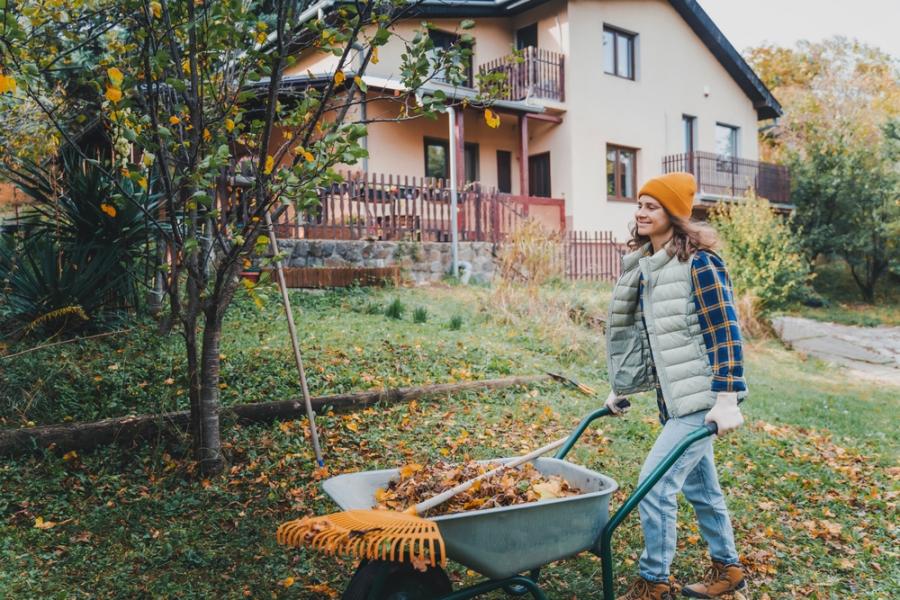 Виц: Трябва да се отървем от излишните боклуци