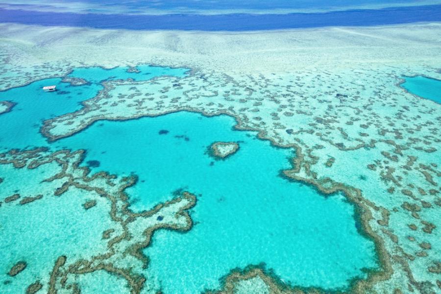 През последното десетилетие водите на Големия бариерен риф са били най-горещи от 400 години 