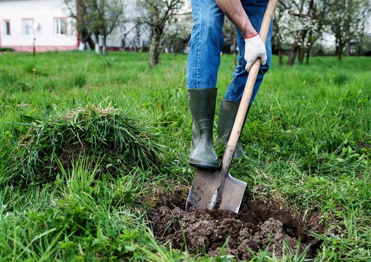 Виц: Двама работници в България