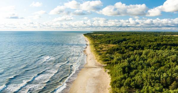 Във Финландия учени които изследват бързото затопляне на Балтийско море