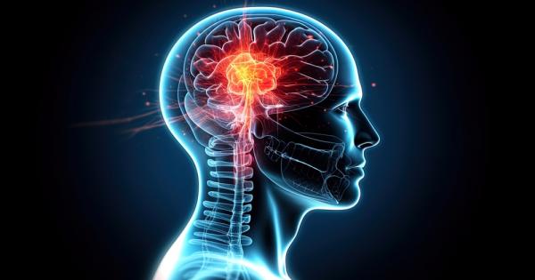 Международен екип от учени разкри невронни механизми които мозъкът използва
