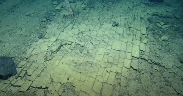 Докато проучват древен подводен вулкан в Тихия океан, учени се натъкнат на