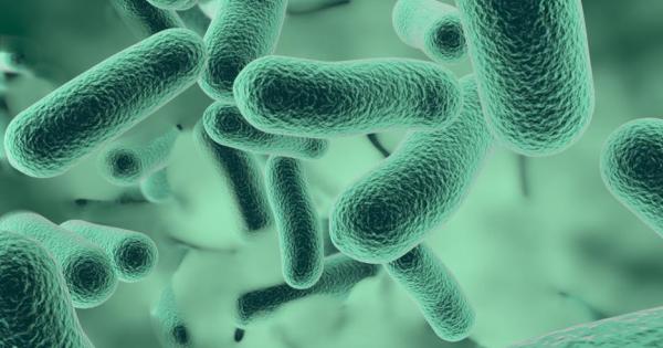 Метанотрофните бактерии са шампиони по почистване на въздуха сред микробите,