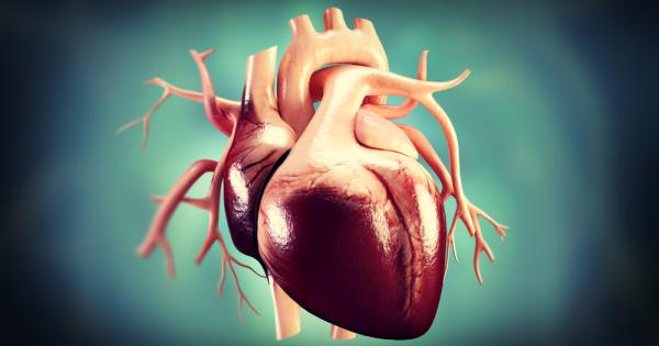 Сърце и мозък изглежда са по тясно свързани отколкото се