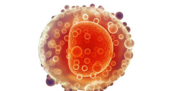 Американски учени откриха стволови клетки в яйчниците, които са способни