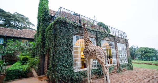 Необикновеният хотел Giraffe Manor в Найроби, Кения е построен през